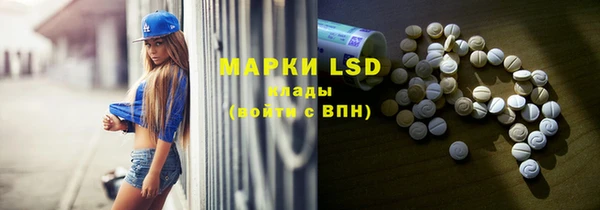 крисы Новозыбков